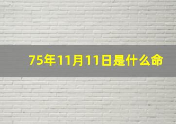 75年11月11日是什么命