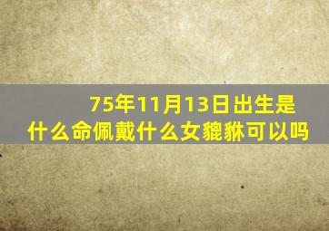 75年11月13日出生是什么命佩戴什么女貔貅可以吗