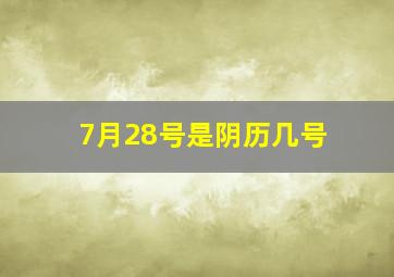 7月28号是阴历几号