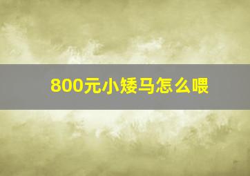 800元小矮马怎么喂