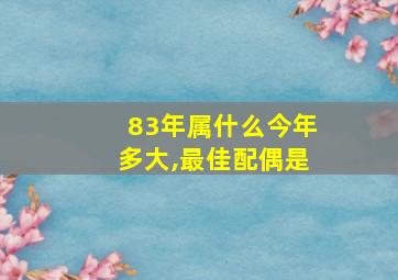 83年属什么今年多大,最佳配偶是