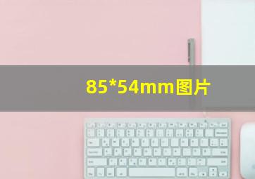 85*54mm图片