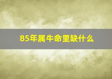 85年属牛命里缺什么