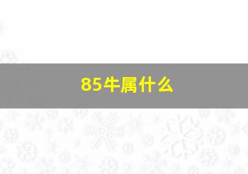 85牛属什么