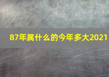 87年属什么的今年多大2021