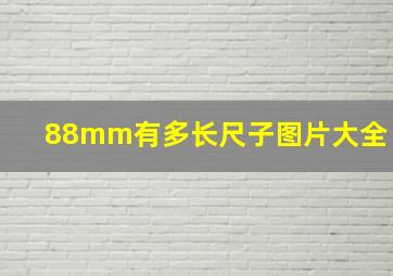 88mm有多长尺子图片大全