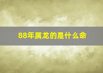 88年属龙的是什么命