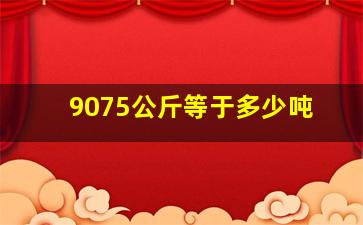 9075公斤等于多少吨