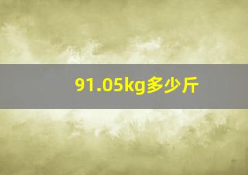 91.05kg多少斤