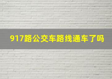 917路公交车路线通车了吗