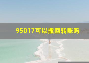 95017可以撤回转账吗