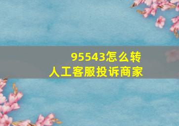 95543怎么转人工客服投诉商家