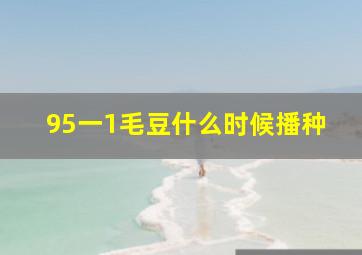 95一1毛豆什么时候播种