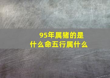 95年属猪的是什么命五行属什么