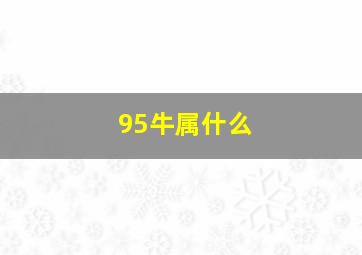 95牛属什么