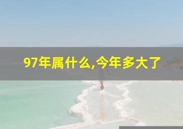 97年属什么,今年多大了