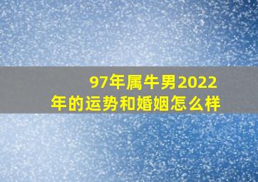 97年属牛男2022年的运势和婚姻怎么样