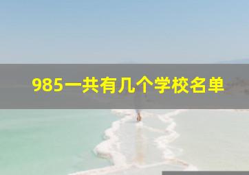 985一共有几个学校名单