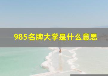 985名牌大学是什么意思