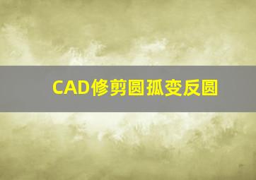 CAD修剪圆孤变反圆