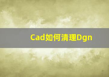 Cad如何清理Dgn