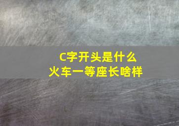 C字开头是什么火车一等座长啥样