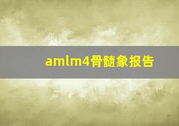 amlm4骨髓象报告