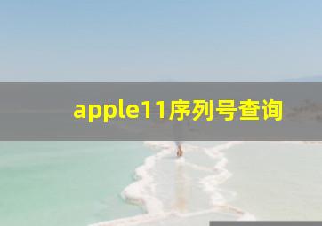 apple11序列号查询