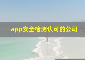 app安全检测认可的公司