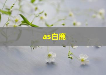 as白鹿