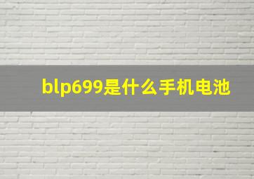 blp699是什么手机电池