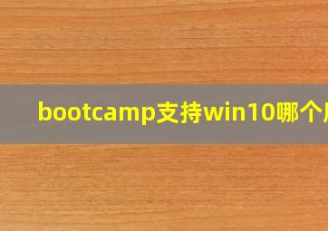 bootcamp支持win10哪个版本