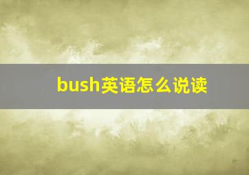 bush英语怎么说读