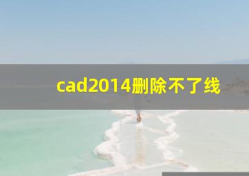 cad2014删除不了线