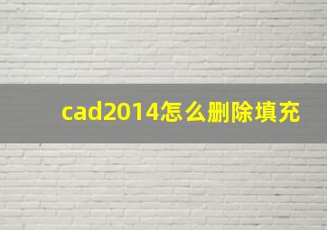 cad2014怎么删除填充