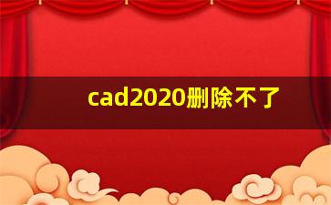 cad2020删除不了