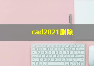 cad2021删除