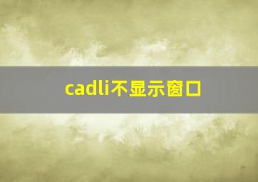 cadli不显示窗口