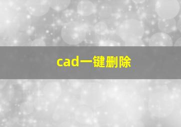 cad一键删除