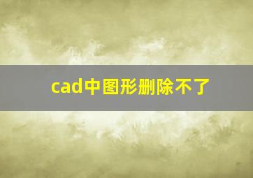 cad中图形删除不了