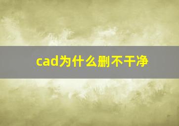 cad为什么删不干净