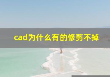 cad为什么有的修剪不掉