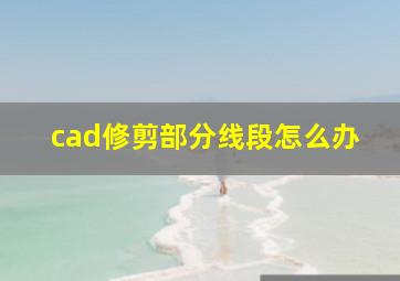 cad修剪部分线段怎么办