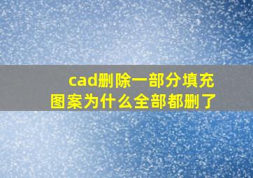 cad删除一部分填充图案为什么全部都删了