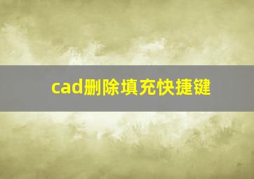 cad删除填充快捷键