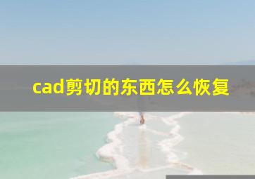 cad剪切的东西怎么恢复