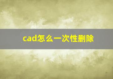 cad怎么一次性删除