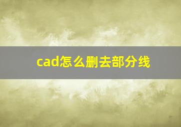 cad怎么删去部分线