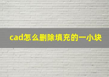 cad怎么删除填充的一小块