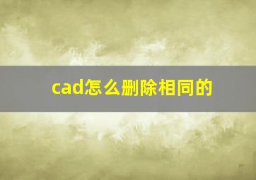 cad怎么删除相同的